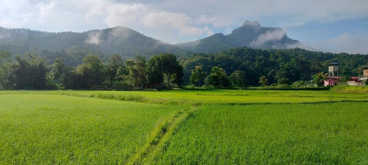 הוילה Khuang Kom Pimpisa Garden พิมพิศา การ์เด้นท์ מראה חיצוני תמונה