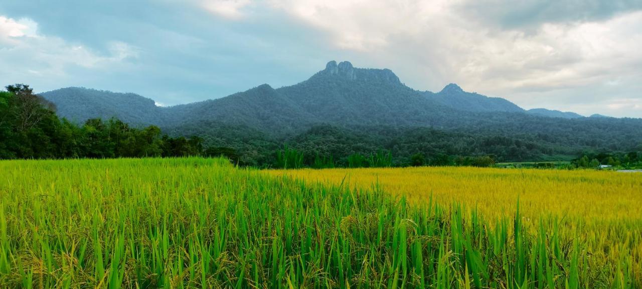 הוילה Khuang Kom Pimpisa Garden พิมพิศา การ์เด้นท์ מראה חיצוני תמונה